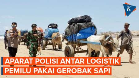 Momen Aparat Kepolisian Antar Logistik Pemilu Pakai Gerobak Sapi