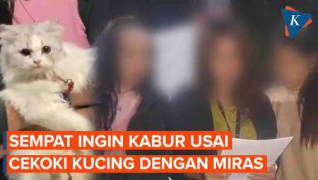 3 Wanita yang Cekoki Kucing dengan Miras Minta Maaf, Sempat Ingin Kabur