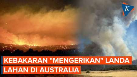Australia Hadapi Kebakaran Hutan Yang “Mengerikan”, 900 Ribu Hektare Lahan Hangus