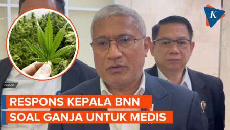 Soal Wacana Ganja untuk Medis, Ini Kata Kepala BNN