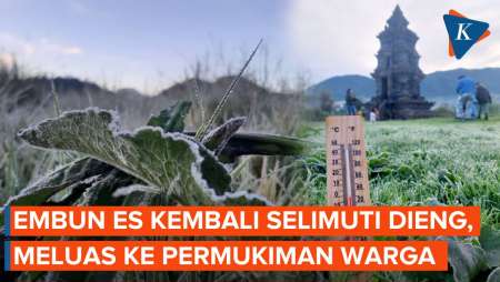 Penampakan Embun Es Selimuti Dieng, Meluas ke Permukiman Warga