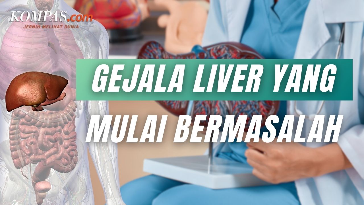 8 Tanda Liver Mulai Bermasalah Yang Perlu Diwaspadai Apa Saja