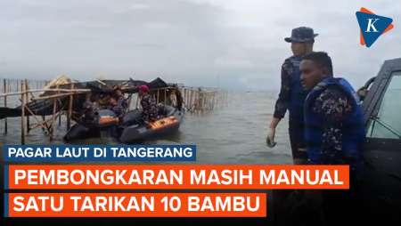 Pagar Laut Tangerang Dibongkar Secara Manual, Satu Tarikan 10 Bambu Tercabut