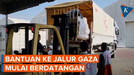 Bantuan untuk Palestina Datang Lewat Mesir, Uluran Tangan Dunia Siap Disalurkan