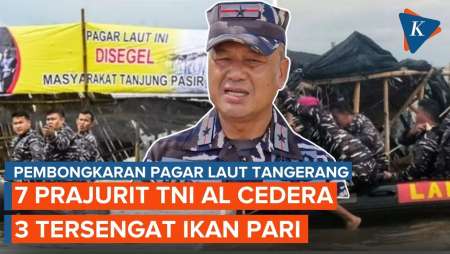 7 Prajurit Cedera Saat Bongkar Pagar Laut Tangerang, 3 Tersengat Pari!