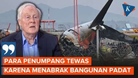 Pakar Penerbangan Ungkap Dugaan Penyebab Kecelakaan Pesawat Jeju Air