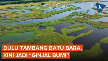 China Ubah Bekas Tambang Jadi "Ginjal Bumi"