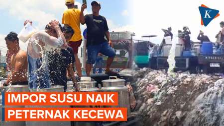 Data Impor Naik, Peternak Boyolali Protes, Nekat Mandi Susu