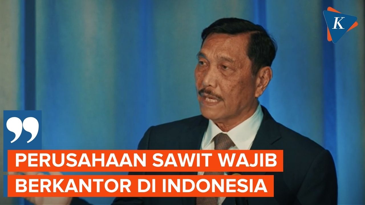 Lapor Jokowi, Luhut Sebut Banyak Perusahaan Sawit yang Berkantor di Luar Negeri