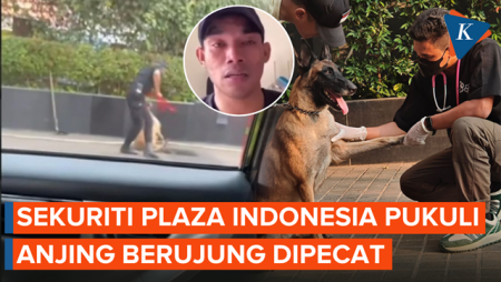 Kasus Sekuriti Plaza Indonesia Pukuli Anjing, Videonya Viral, Berujung Dipecat