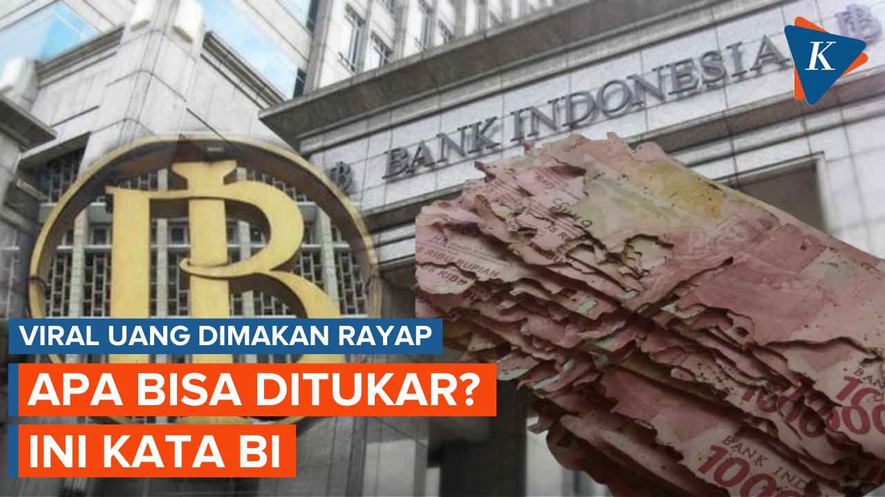 Viral Uang Dimakan Rayap, Ini Penjelasan Bank Indonesia soal Penukaran
