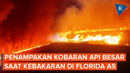 Garis Api Membara! Penampakan Kobaran Api Saat Kebakaran Lahan Di Florida AS
