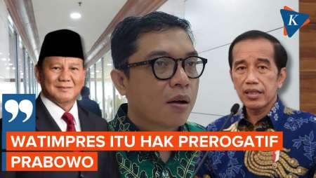 Tanggapan Politisi PPP soal Isul Jokowi Jadi Watimpres