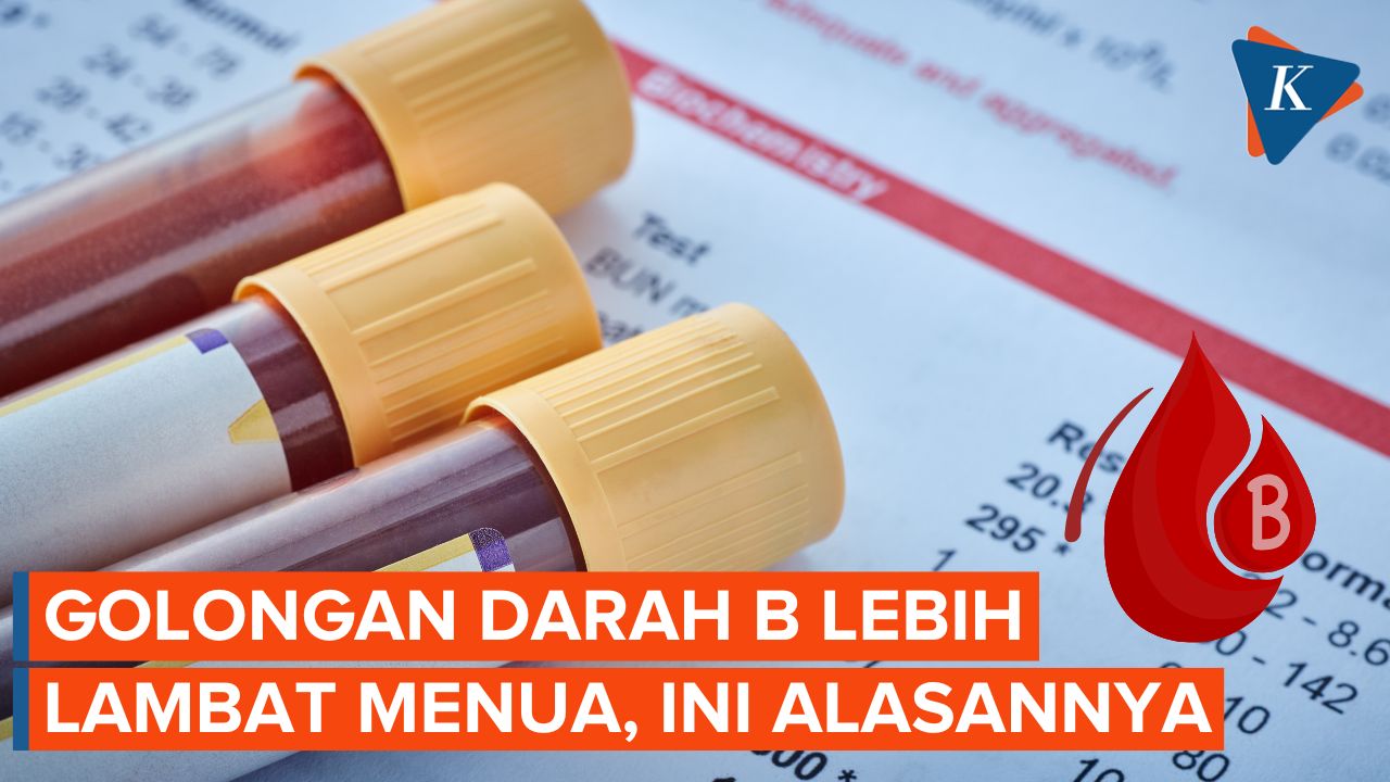 Penelitian Ungkap, Pemilik Golongan Darah B Lebih Lambat Menua, Ini Alasannya