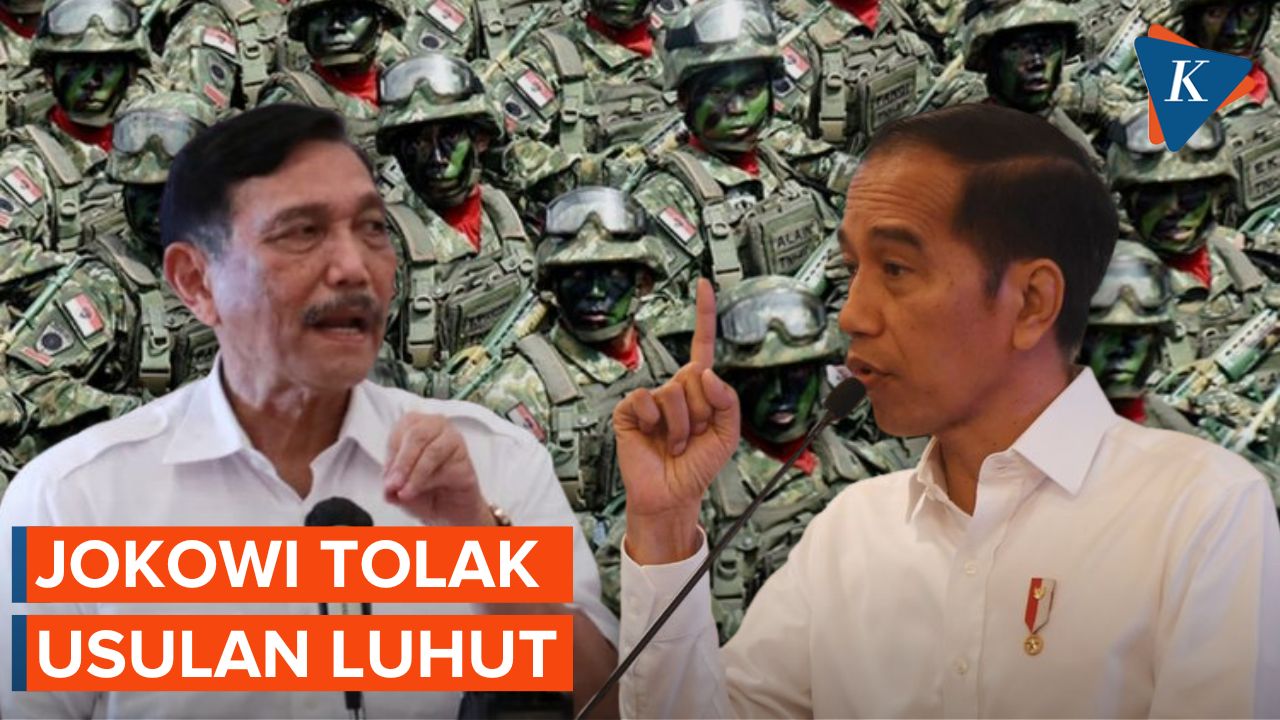 Usulan Luhut Ditolak Jokowi, Tentang Apa?