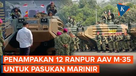 12 Ranpur Amfibi AAV M-35 Buatan AS Perkuat Pasukan Marinir TNI AL
