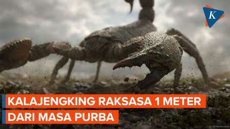 Hidup 415 Juta Tahun Lalu, Kalajengking Ini Panjangnya 1 Meter