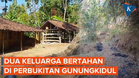 Kisah Dua Keluarga di Perbukitan Gunungkidul Dihantui Serangan Monyet