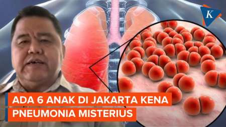 6 Anak di Jakarta Sempat Kena Pneumonia Misterius