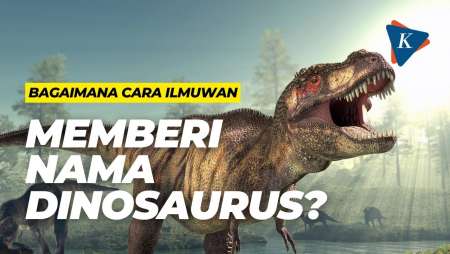 Bagaimana Cara Ilmuwan Memberi Nama Dinosaurus?