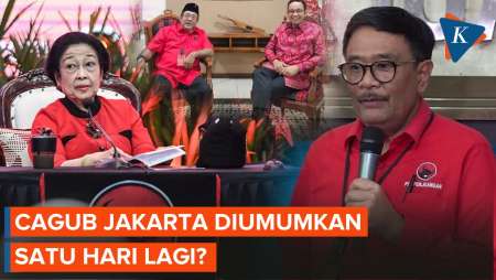 Djarot Sebut Megawati Akan Umumkan Cagub Jakarta Satu-Dua Hari Lagi