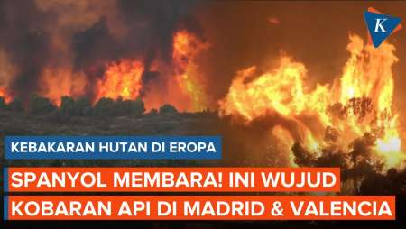 Spanyol Membara! Penampakan Kobaran Api Besar Di Madrid Dan Valencia