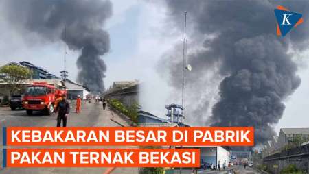 Kebakaran Besar Pabrik Pakan Ternak di Bekasi, 14 Mobil Pemadam Kebakaran Dikerahkan