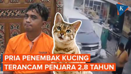 Pria Tembak Kucing hingga Mati di Semarang, Akhirnya Ditangkap