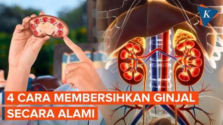 4 Cara Membersihkan Ginjal Secara Alami