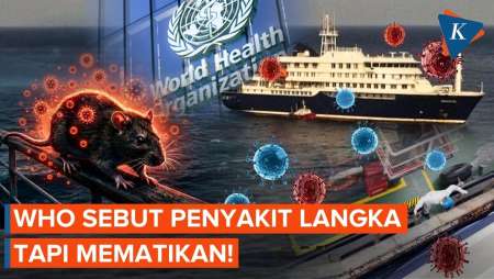 WHO: Hantavirus Di Kapal Pesiar Hondius Mematikan!