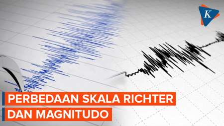Apa Beda Magnitudo dan Skala Richter dalam Mengukur Kekuatan Gempa?