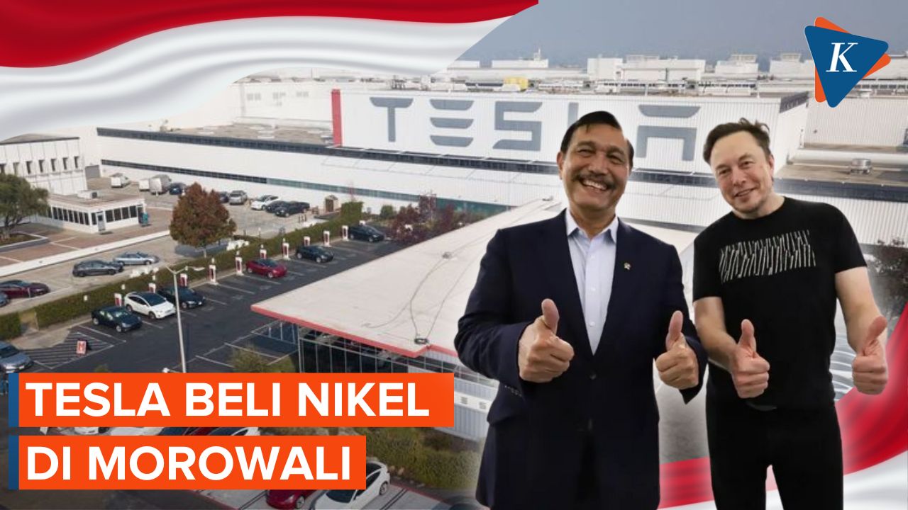 Tesla Beli Nikel Perusahaan China di Morowali, Apa Untungnya Buat RI?