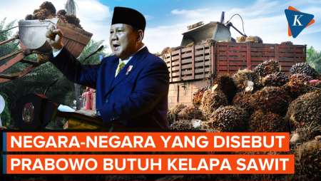 Deretan Negara Ini Disebut Prabowo Butuh Stok Kelapa Sawit, Mana Saja?