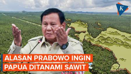 Mengapa Prabowo "Ngotot" Ingin Papua Ditanami Sawit?