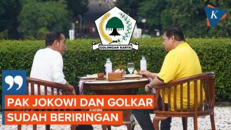 Airlangga Klaim Jokowi Nyaman dengan Partai Golkar