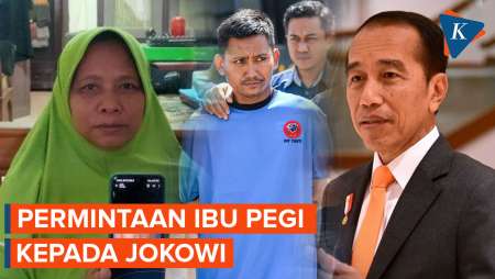 Kasus Vina Cirebon, Ibu Pegi Setiawan Minta Bantuan Jokowi 