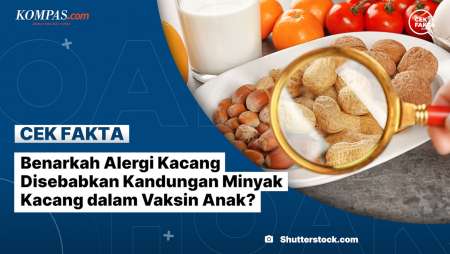 Benarkah Alergi Kacang Disebabkan Kandungan Minyak Kacang dalam Vaksin Anak?