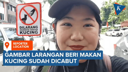 Kronologi Stiker Larangan Beri Makan Kucing Dicabut