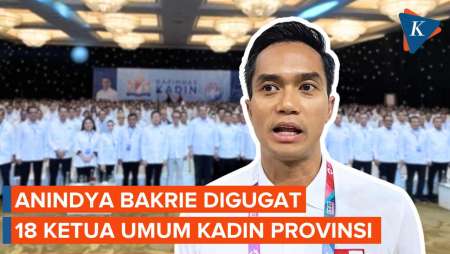 Kisruh Munaslub, Anindya Bakrie Digugat 18 Ketua Umum Kadin Provinsi