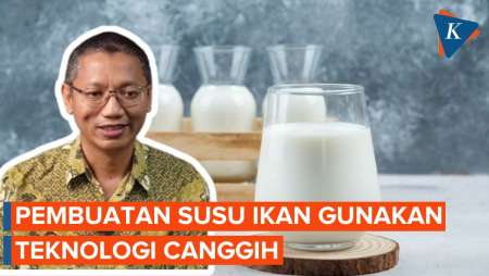 Apa Kandungan dari Susu Ikan?