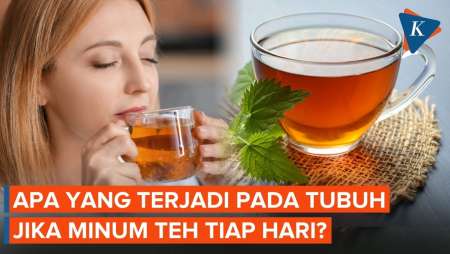 Efek yang Terjadi pada Tubuh jika Minum Teh Tiap Hari