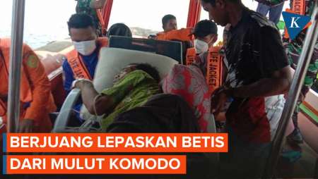 Kisah Warga NTT Berjuang Lepaskan Betis dari Mulut Komodo