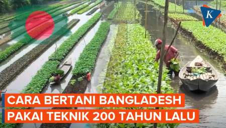 Kebun Terapung Bangladesh, Solusi Atasi Pangan Dari Banjir Dengan Hasil Panen 10 Kali Lipat