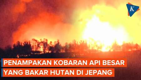 Penampakan Kobaran Api Besar yang Bakar Hutan di Jepang, Hanguskan 2.100 Hektare Lahan