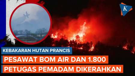 Hutan Perancis Membara, Pesawat Bom Air Dikerahkan Padamkan Api