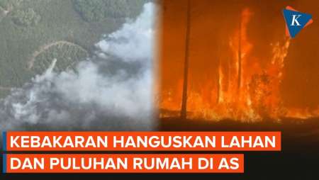 Penampakan Kebakaran Hutan Di AS