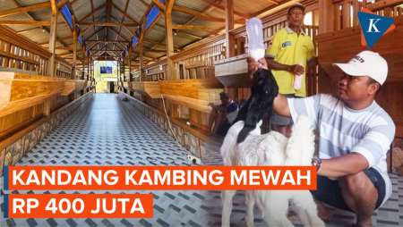 Kandang Kambing Mewah Rp 400 Juta seperti Villa di Tuban