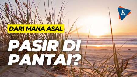 Dari Mana Asal Pasir di Pantai?