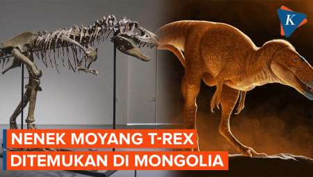 Jejak Nenek Moyang T-Rex Ditemukan di Mongolia, Fosil Kuno Ungkap Asal Usul Sang Predator