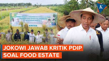 Jokowi Bela Prabowo atas Kritik PDI-P soal Food Estate